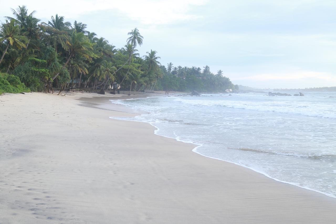 Serene Beach Hotel Dikwella Extérieur photo